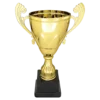 Gold Metal Cup