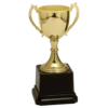 Gold Zinc Cup
