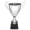 Silver Metal Cup