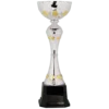 Silver/Gold Metal Cup