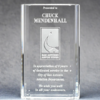Optic Crystal Merit Award