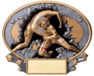 Wrestling Award