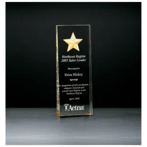 Constellation Series Etched Star with Gold Paint-Filled and Mirrored Bottom