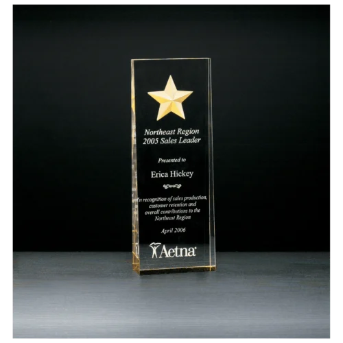 Constellation Series Etched Star with Gold Paint-Filled and Mirrored Bottom