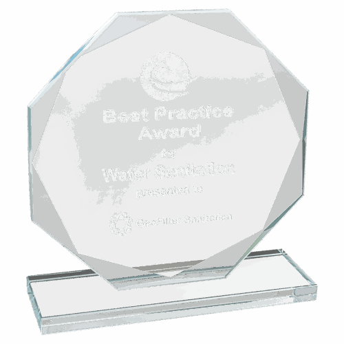 Premier Clear Octagon Glass Award - Image 2