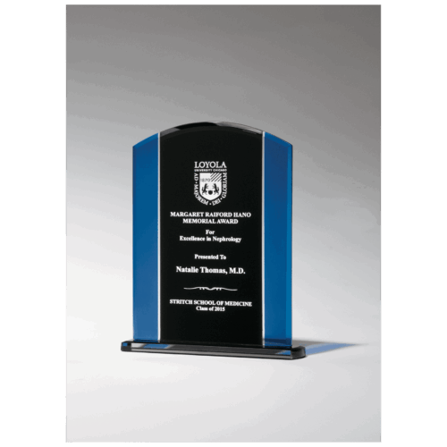 Clear Glass with Blue/Black Silkscreened Upright and Black Screened Base - Image 3