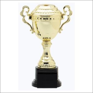 VERONA ASSEMBLED CUP