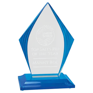 Flame Series Clear Acrylic with Blue Accented Upright and Base