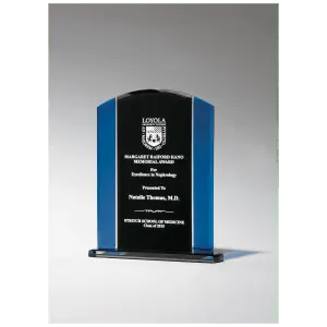 Clear Glass with Blue/Black Silkscreened Upright and Black Screened Base