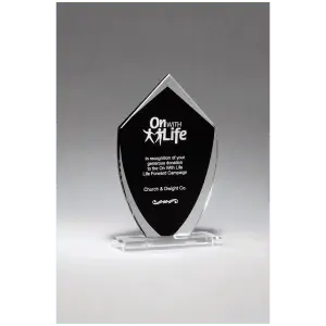 Shield Shaped Glass Award with Black Silkscreened Center